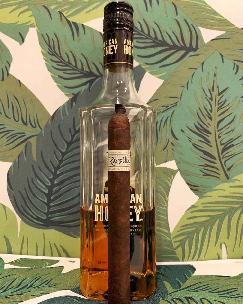 56857854_2352462391471276_2650458698816535877_n