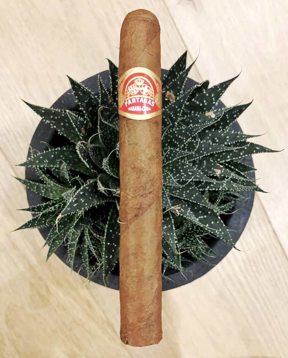 59543233_137248597381417_2864402349756026529_n